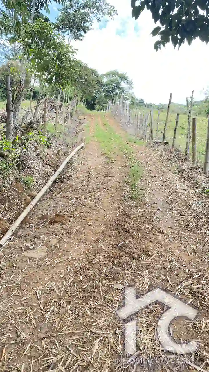 Lote Heidi 2 6040 metros